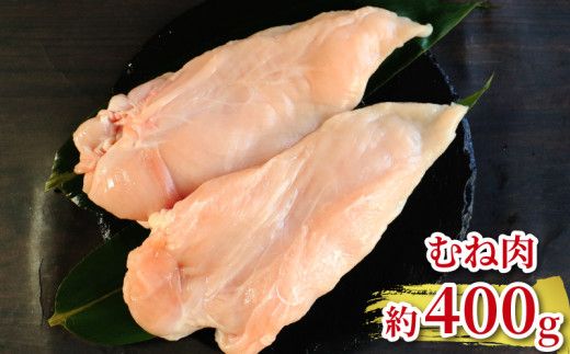 地鶏 愛媛 媛っこ地鶏 1羽セット 約2.5kg 鶏肉 鳥肉 肉 チキン むね肉 もも肉 ささみ レバー せせり ハツ 砂肝 焼肉 焼き鳥  BBQ 冷凍 国産 高級 タンパク質 低脂肪 糖質 唐揚げ チキン南蛮 サラダチキン スープ 出汁 モツ煮 ダイエット 愛南町 送料無料 ローカルスタンダード