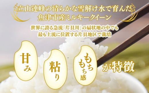 【12ヶ月定期便】【令和6年度米】「魚津のミルキークイーン（晃米）」20kg（玄米） ｜ 環境配慮 MK農産 お米 ブランド米 銘柄米 玄米 ご飯 おにぎり 産地直送 甘み 粘り もちもち ※2024年10月下旬頃より順次発送予定 ※北海道・沖縄・離島への配送不可