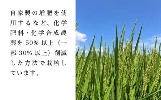 コシヒカリ 白米 玄米 8分つき米  約5kg  約10kg 選べる 精米方法 内容量 ［ おぶせファーマーズ ］ お米 コメ おこめ ご飯 精米 長野県産【2025年11月上旬～発送】 