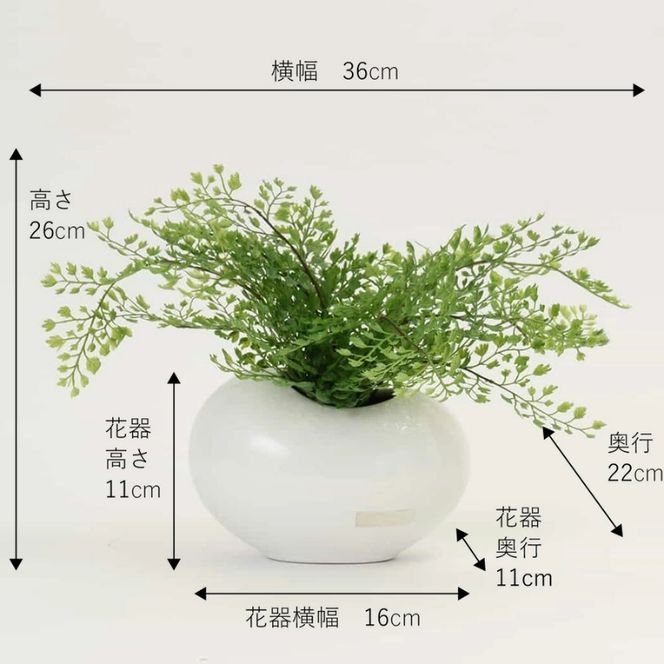 アートフラワー エミリオ・ロバ アジアンタム TTTTA03070