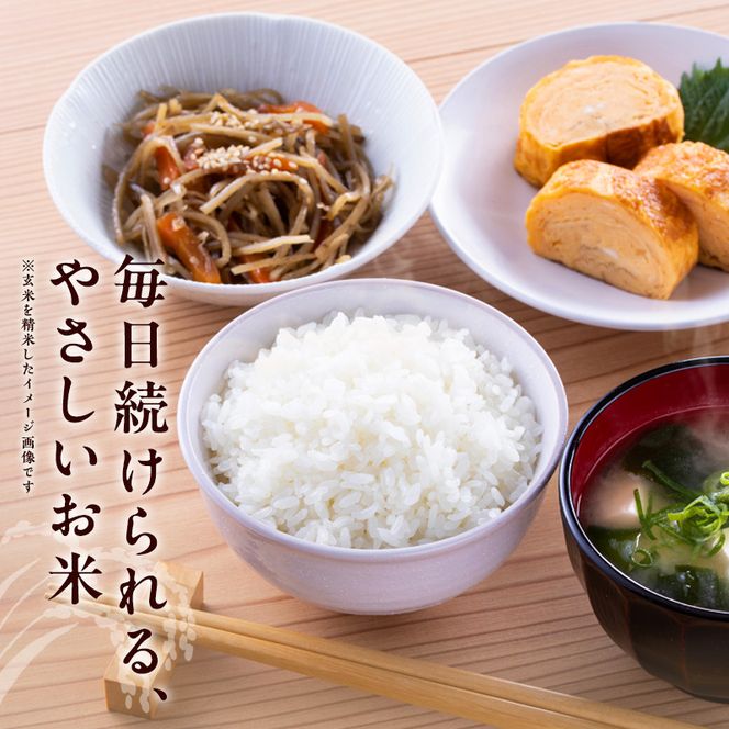 米 令和8年産 神大のおこめ（特別栽培米ヒノヒカリ）玄米30kg お米