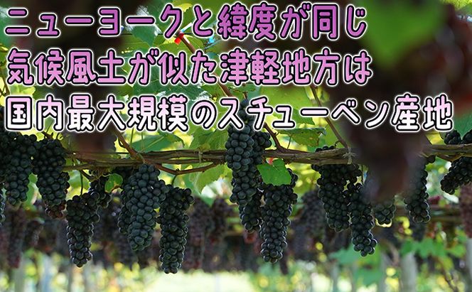 1～2月 津軽ぶどう村 特秀 スチューベン ぶどう 約 1.5kg 糖度18度以上【 青森ぶどう 青森県鶴田町産 1月 2月 果物 フルーツ 高糖度 ギフト 贈答用 ポリフェノール 】 