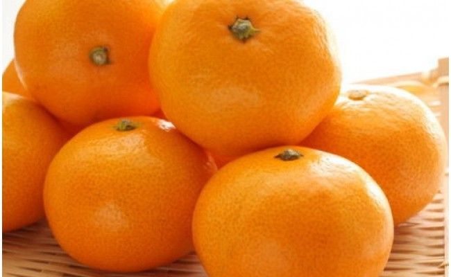 【産直・秀品】和歌山下津みかん約5kg（S～Lサイズおまかせ）