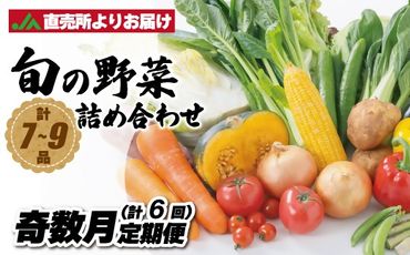 【奇数月お届け】むなかた旬のお任せセット(野菜) 7～9品【ほたるの里】_HB0172