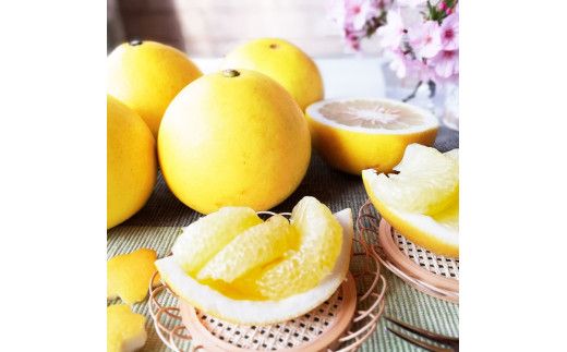 文旦 約5kg 家庭用 大玉 土佐文旦 高知 ぶんたん ブンタン 期間限定 数量限定 3Lサイズ 8～9個 果物 柑橘 フルーツ 高知県産 家庭用 ご自宅用 傷 美味しい