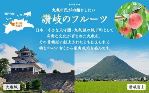 フルーツ 定期便 3回 旬に出逢う城下町の果実 定期配送 いちご 桃 シャインマスカット 果実 果物 ぶどう 