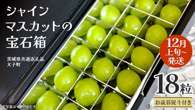 y錧vszy Ε lt z VC}XJbg ̕Δ 18 y2025N12{Jnz(錧ʕԗiFq) Ԃǂ  t[c ʕ p Mtg 蕨
