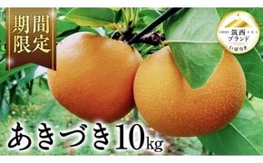 【 JA 北つくば 】 筑西ブランド 認証品 あきづき 10kg 2026年産 先行予約 梨 果物 フルーツ なし ナシ 和梨 秋月 秋月梨 あきづき梨 くだもの デザート 茨城 [AE029ci]