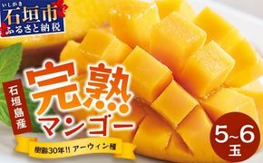 【先行予約】《2026年7月以降より順次発送》石垣島産 マンゴー (アーウィン種) 5～6玉(箱含め約2kg)《樹齢30年の木で育ったマンゴー》｜産地直送 沖縄 石垣島 マンゴー アーウィン マンゴー フルーツ TP-2