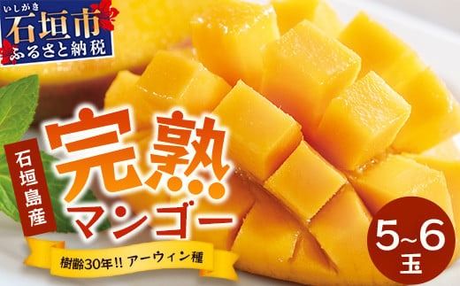 yꌧΊ_szys\zs2026N7ȍ~菇tΊ_Y }S[ (A[EB) 5`6(܂ߖ2kg)s30N̖؂ň}S[tbYn  Ί_ }S[ A[EB }S[ t[c TP-2