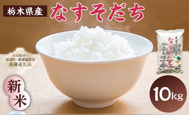 ns005-002-10 【大田原市・那須塩原市・那須町共通返礼品】＜米＞令和7年産 栃木県産 コシヒカリ なすそだち 10ｋｇ ＪＡなすの産地直送
