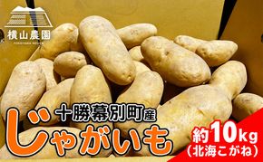 先行予約/2026年秋発送 北海道 十勝 幕別産 じゃがいも 北海こがね 約10kg 【横山農園】 野菜 根菜 フライドポテト ポテトチップス 変色しにくい 煮崩れしにくい 黄金色 北海道のジャガイモ 