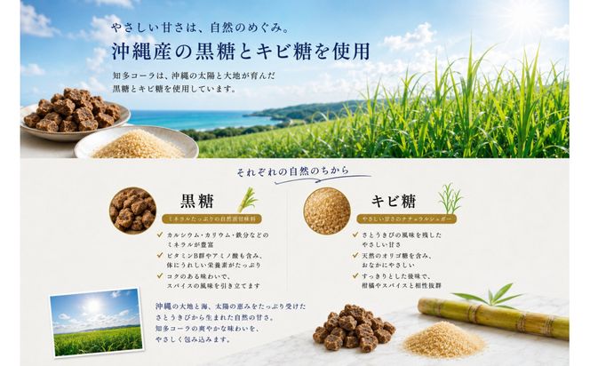 【テレビで紹介】知多コーラ 200ml 6本 愛知 知多 クラフトコーラ コーラ 炭酸飲料 ドリンク 愛知県産 レモン みかん 人気 おすすめ 大府市 232238_DJ008