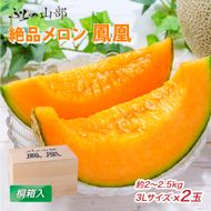 【2026年夏発送】〈桐箱入〉富良野メロン 山部の絶品『鳳凰』3L 2玉 計4kg以上 メロン 大玉 赤肉 北海道