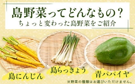 石垣島産 野菜 BOX　1箱【６~８種類】野菜パワーをあなたに！！｜沖縄 石垣島 直送 旬 新鮮 島野菜 野菜セット 野菜 やさい 季節のお野菜 旬の野菜セット 詰め合わせ CK-1