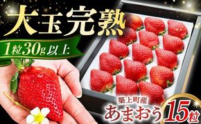 【1月中旬以降順次発送】築上町産 あまおう  1箱 15粒《築上町》【エースいちご株式会社】 大粒 あまおう 苺 いちご ギフト 贈答[ABAG004]