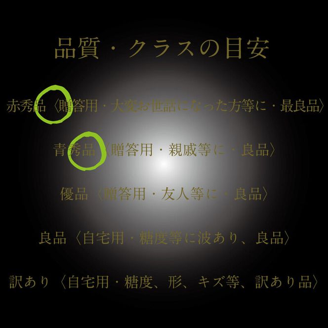 [HS]【定期便全2回】ぶどう先行予約7月・8月発送温室シャインマスカット晴王2房（合計約1.4kg）ブドウ 葡萄  岡山県産 国産 フルーツ 果物 ギフト デザート 食後 酸味が少ない 産地直送
