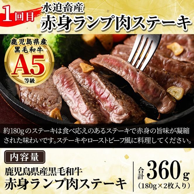 a969 ＜コラボ定期便！選べる配送回数＞姶良市おすすめ！ステーキ肉定期便(全3回・全6回)【水迫畜産・財宝】姶良市 コラボ こらぼ 国産 鹿児島産 お肉 肉 牛肉 ステーキ 冷凍 ランプ シャトーブリアン サーロイン