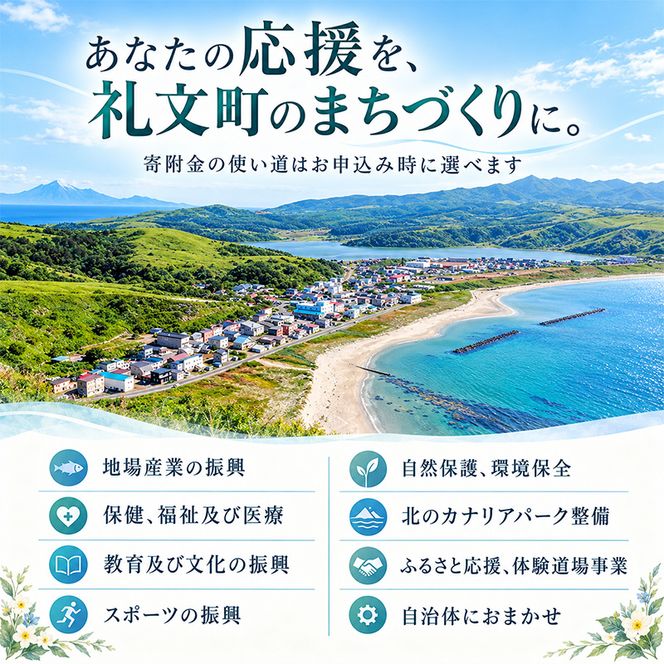 【返礼品なし】北海道 礼文町 ふるさと応援寄附金 100,000円コース ［北海道礼文町］【 寄附のみ 応援 支援 礼文島 地域貢献 自然保護 地方創生 まちづくり ふるさと納税 】