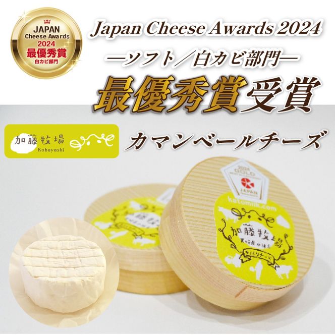 【国内コンテスト最優秀賞受賞！】カマンベールチーズ 1個 100g （チーズ 国産 乳製品 生乳 国産チーズ ノンホモ 手作り 人気）