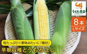 【先行受付】果物 みたいに 極甘 ！ 早朝 収穫 とうもろこし Lサイズ ( 300g )× 8本 【2026年6月中旬以降順次発送】《糸島》【有限会社ウラタ農園】 [ALI003]