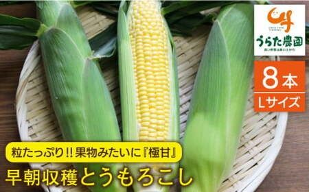 【先行受付】果物 みたいに 極甘 ！ 早朝 収穫 とうもろこし Lサイズ ( 300g )× 8本 【2026年6月中旬以降順次発送】《糸島》【有限会社ウラタ農園】 [ALI003]