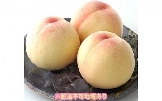 桃 2026年 先行予約 白桃 5玉 合計約1.3kg もも モモ 岡山県産 国産 フルーツ 果物 ギフト