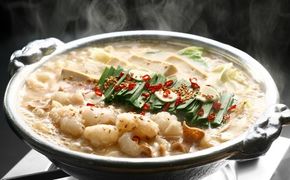 博多若杉牛もつ鍋8～10人前セット（醤油味）【株式会社Skyward】_HA1774