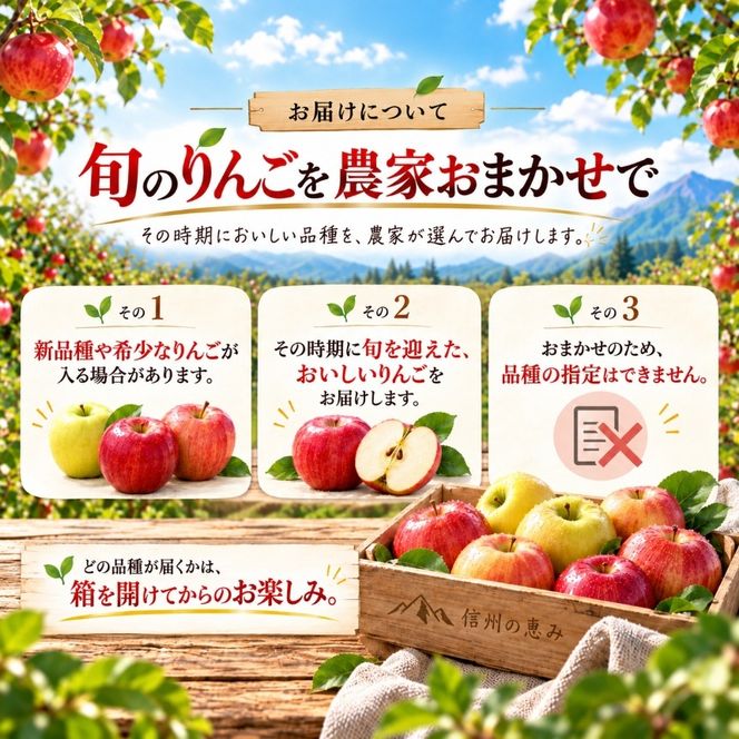信州の旬のりんごおまかせ 約3キロ（りんご・リンゴ・林檎）| りんご おまかせ 先行受付 予約 長野県 長野県産 信州産 長野県 伊那市 信州のりんご 信州 長野 伊那市産 上伊那 甘い みずみずしい シャキシャキ 約3kg 家庭用 りんご リンゴ 林檎 産地直送 フルーツ 果物 デザート おやつ【012-90】