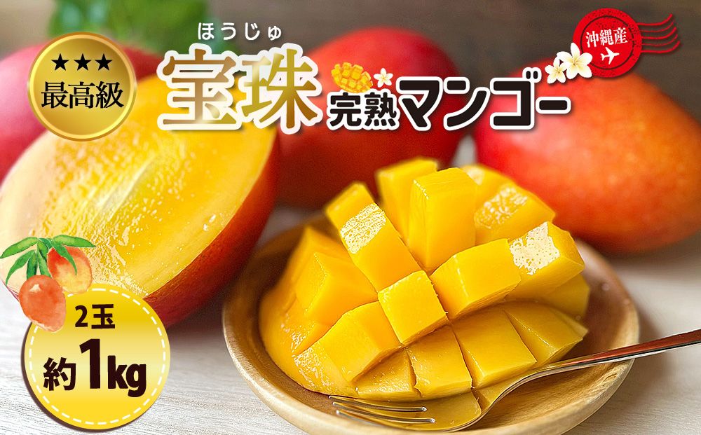 最高級マンゴー 宝珠1kg [熱帯資源植物研究所]