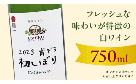 青デラ 750ml ワイン 白ワイン 白 酒 牛久シャトー デラウエア