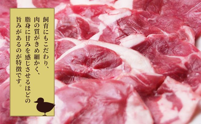 北海あいがも鴨鍋 鴨スライス 鴨つくね たれ付 国産 かも肉 カモ肉 鴨肉 鍋 お鍋 かも鍋 カモ鍋 鴨鍋 鍋つみれセット セット 詰め合わせ アイマトン 北海道 赤平市 
