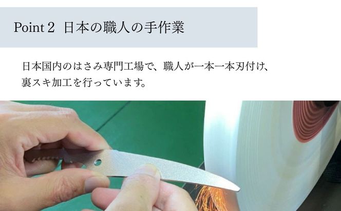 【京都活具】分解可能！洗える キッチンバサミ｜京都活具 調理器具 キッチン用品 人気ブランド [ 握りやすい大き目グリップ 長くて切れ味のある刃先 サクッ切れる 使いやすい ステンレス 長持ち おすすめ ギフト プレゼント お取り寄せ 通販 送料無料 ふるさと納税 ]  261009_B-WT16