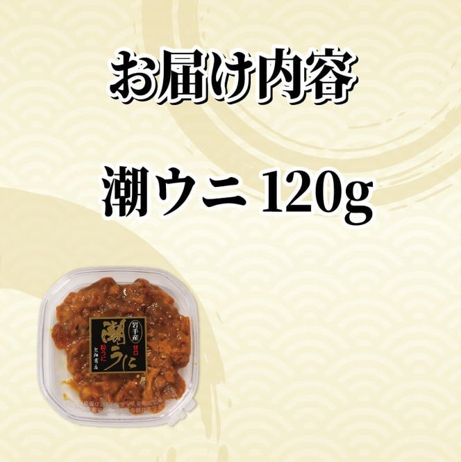 訳あり 潮ウニ 120g 冷凍 ミョウバン不使用 雲丹 寿司 汐うに 塩うに 海鮮 魚貝類 魚介類 キタムラサキウニ 小分け 塩水 天然 刺身 ウニ丼 ご飯 白米 おつまみ 三陸産 岩手県 大船渡市 [56500615_2]