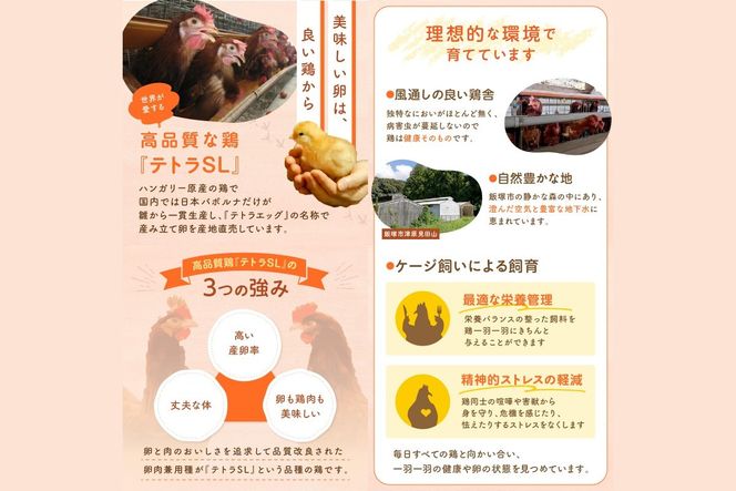 【B9-009】テトラエッグ特選卵『バボルナの宝石』（30個/月）【3カ月定期便】