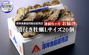 定期便 6ヶ月 北海道 厚岸産 牡蠣 Lサイズ 20個 (各回20個×6ヶ月分,合計120個) 殻付き 生食 カキナイフ付き かき カキ 魚貝類 生牡蠣 マルえもん