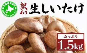 訳あり 湘南しいたけ 生 しいたけ 1.5kg 規格外 訳アリ しいたけ シイタケ 椎茸 きのこ キノコ ヘルシー 栄養 肉厚 ジューシー フレッシュ 国産 産地直送 アレンジ BBQ バーベキュー 北海道 伊達市【農福連携】