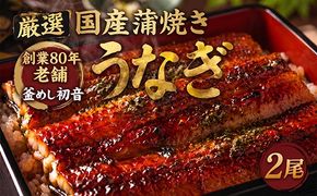最短２日でお届け 初音の厳選高知県産うなぎ蒲焼き２尾　 hn093