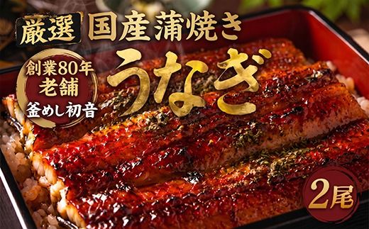 最短２日でお届け 初音の厳選高知県産うなぎ蒲焼き２尾　 hn093