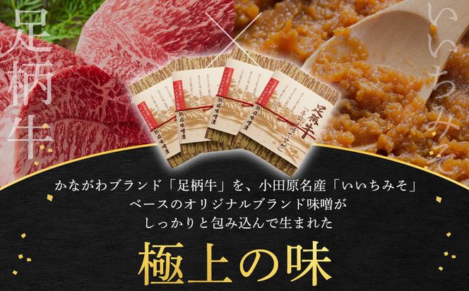 足柄牛　熟成味噌漬け「手前みそですが」 味付き肉 100×4袋 ｜ 小分け 国産豚肉 お惣菜 お総菜 冷凍 焼くだけ 一人暮らし セット 味付き肉 味付け肉 味噌漬け 便利 142069_AG001