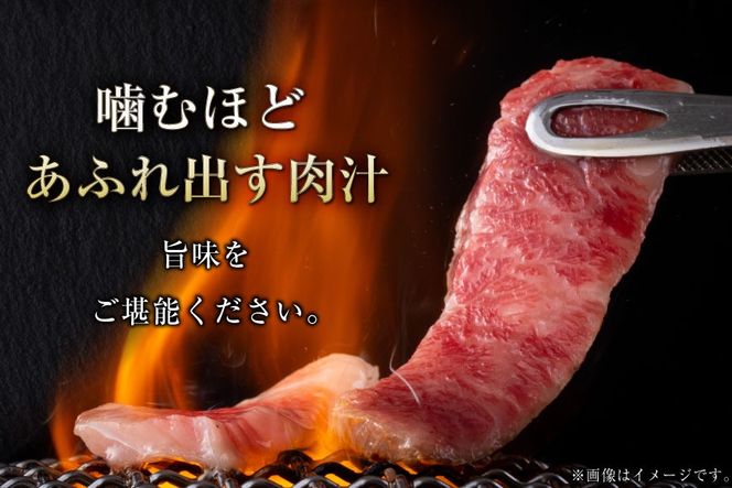 肉 カルビステーキ 500g 2p 計 1kg [上球磨農産 熊本県 五木村 51120363] 牛肉 カルビ ステーキ 厚切り かるび すてーき 下味付き 塩味 冷凍