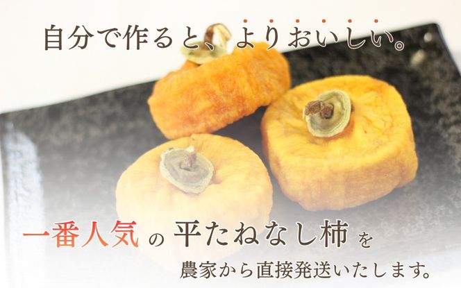 甘さが違う！とっても甘くなる生渋柿（平たねなし柿）あんぽ柿用 T軸枝無  約4.5～5kg　約24～30個＜2026年10月中旬～11月上旬ごろ順次発送＞-AP【art003B】