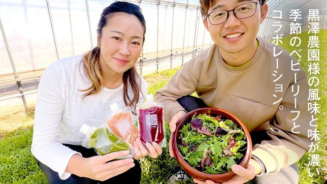 野菜と果物の コールドプレスジュース 200ml × 3本セット 酵素ドリンク デトックス 免疫 ライフスタイル 健康 美容 無添加 野菜 果物 新鮮 有機 無農薬 減農薬 特別栽培 SDGs ジュース 冷凍 解毒 胃腸 やさしい ターンオーバー 代謝 老廃物 新陳代謝 [DZ03-NT]