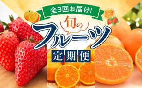G60-T76_【定期便 全3回】紀州和歌山産旬のフルーツ定期便（田村みかん、いちご、なつみ）