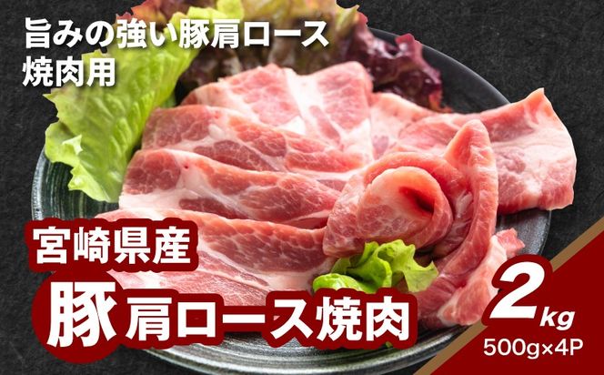 y{茧؏钬z{茧Y،[Xē 2kg K16_0174
