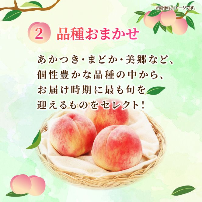 【先行予約・数量限定】大子町産「桃」約2kg 品種おまかせ（あかつき・まどか・美郷 等）｜茨城県 大子町 令和8年産 もも モモ フルーツ 果物 おまかせ 詰め合わせ 産地直送 旬 人気 厳選 奥久慈りんご園（AI007）