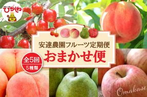 【2026年 5回定期便】安達農園フルーツ定期便 おまかせ便 安達農園提供 山形県 東根市 hi037-011