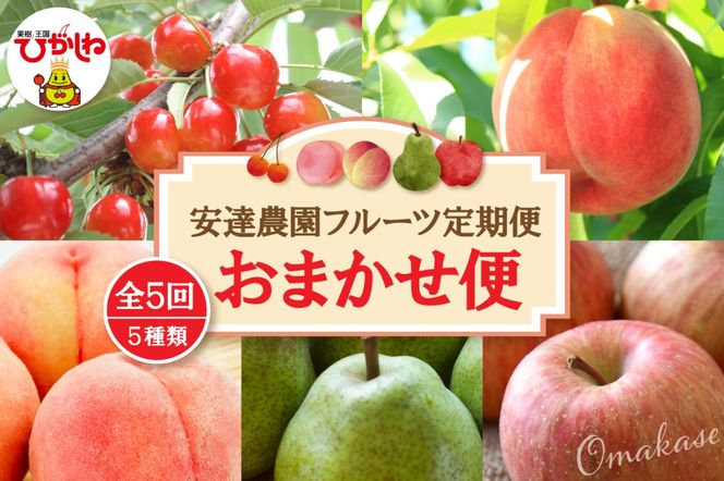 【2026年 5回定期便】安達農園フルーツ定期便 おまかせ便 安達農園提供 山形県 東根市 hi037-011