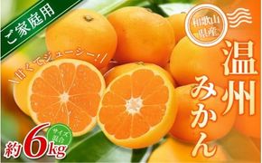 【ご家庭用】手選別 温州みかん 約6kg 和歌山県産 2S~2Lサイズ混合※2025年11月上旬～2026年2月中旬ごろに順次発送【mrmt030】