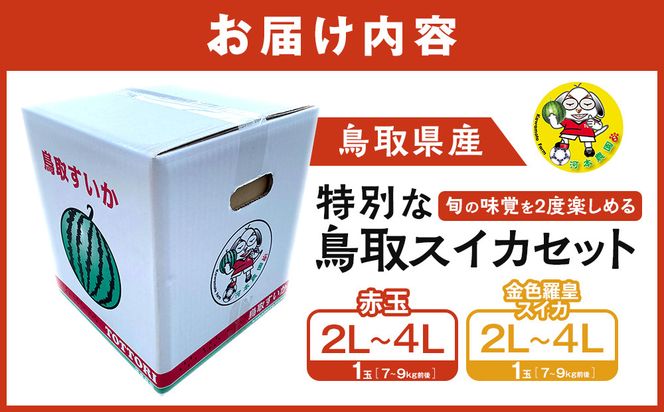 1118.旬の味覚を2度楽しめる、特別な鳥取スイカセット（こちらの返礼品は、大栄西瓜ではありません） 313726_CK004